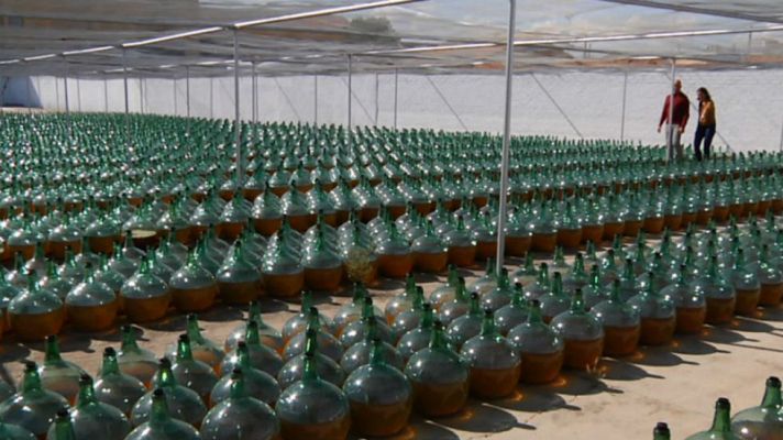 Aquí la Tierra - El vino dorado