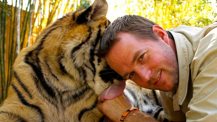 Documenta2 - Tigres en casa. Lo que sucedió después. Capítulo 2