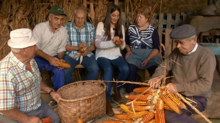 Aquí la Tierra - Entre mazorcas