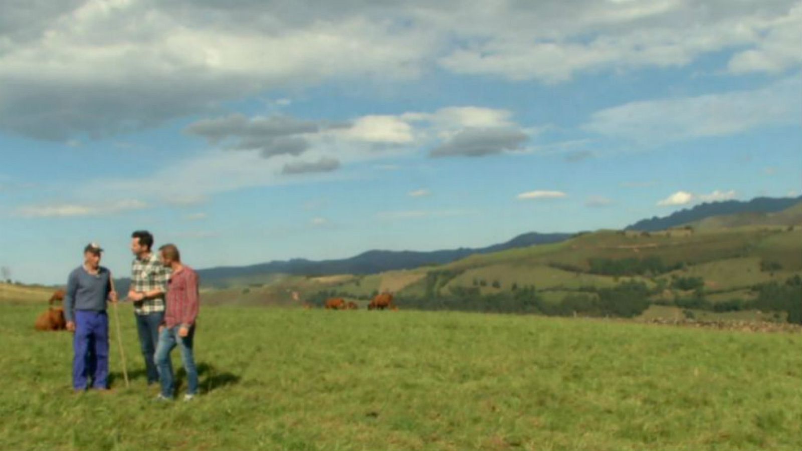 Vaca pasiega, emblema de Cantabria