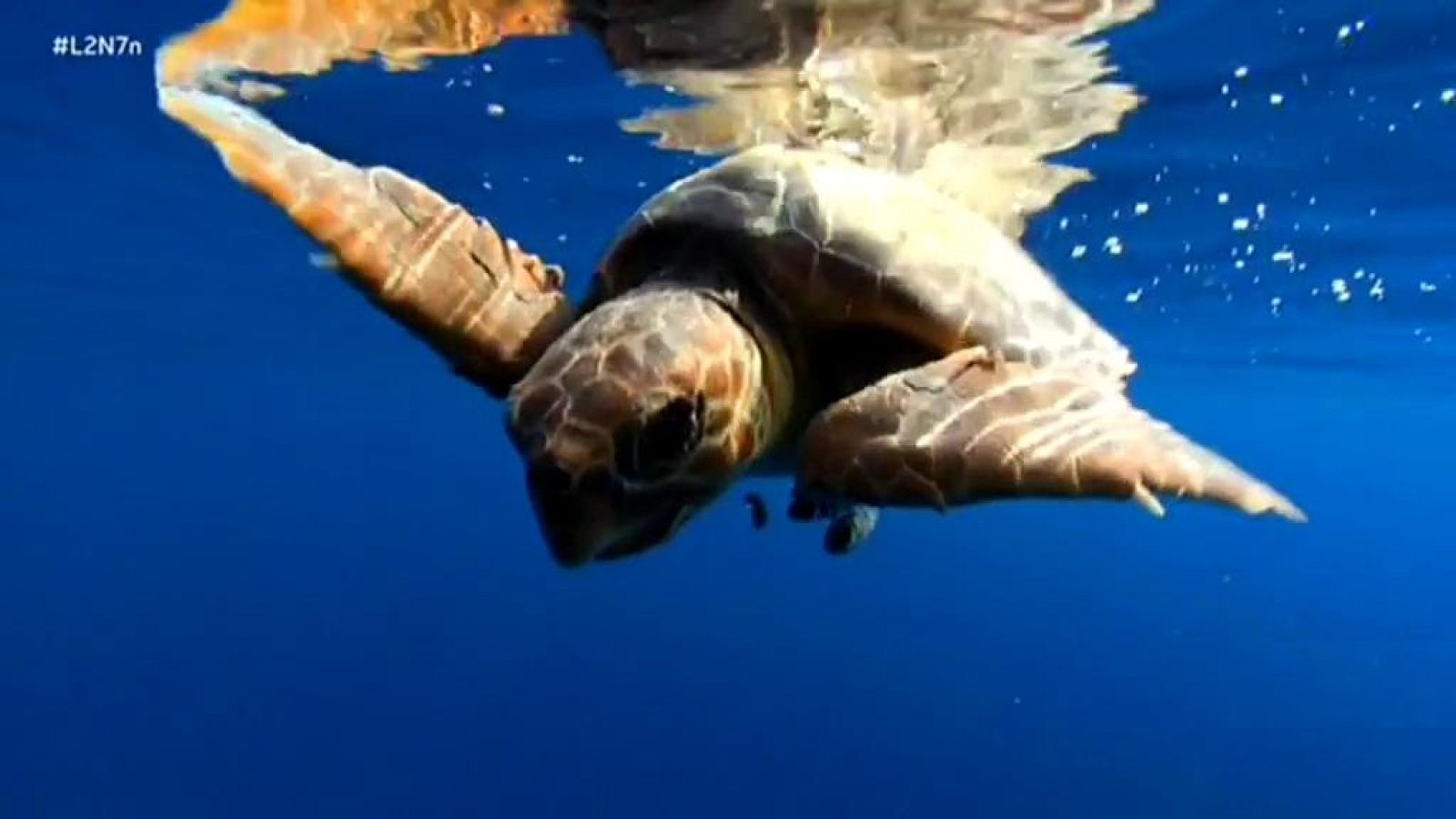 La 2 Noticias - 07/11/18 - ver ahora