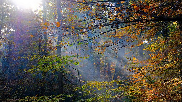 Informativo de Madrid - El Tiempo en la Comunidad de Madrid - 08/11/18