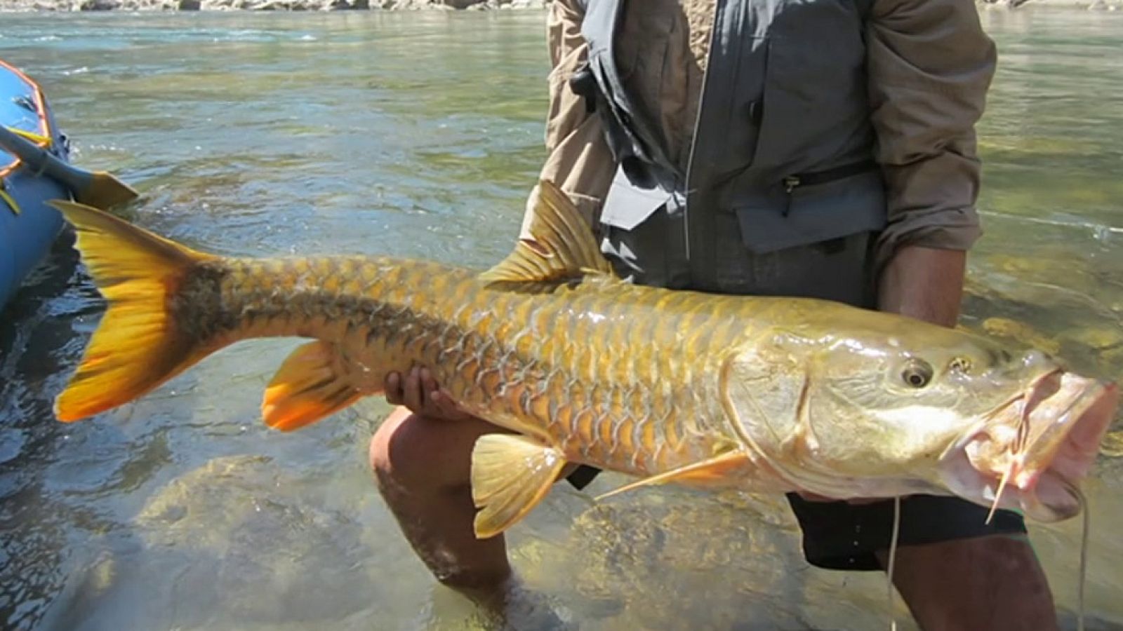 Otros documentales - Pesca Imposible 2: Nepal - ver  ahora