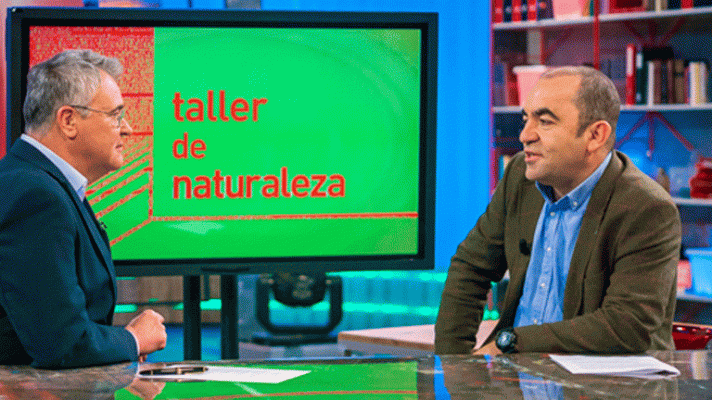 La aventura del Saber - WWF España: los plásticos en el medioambiente.