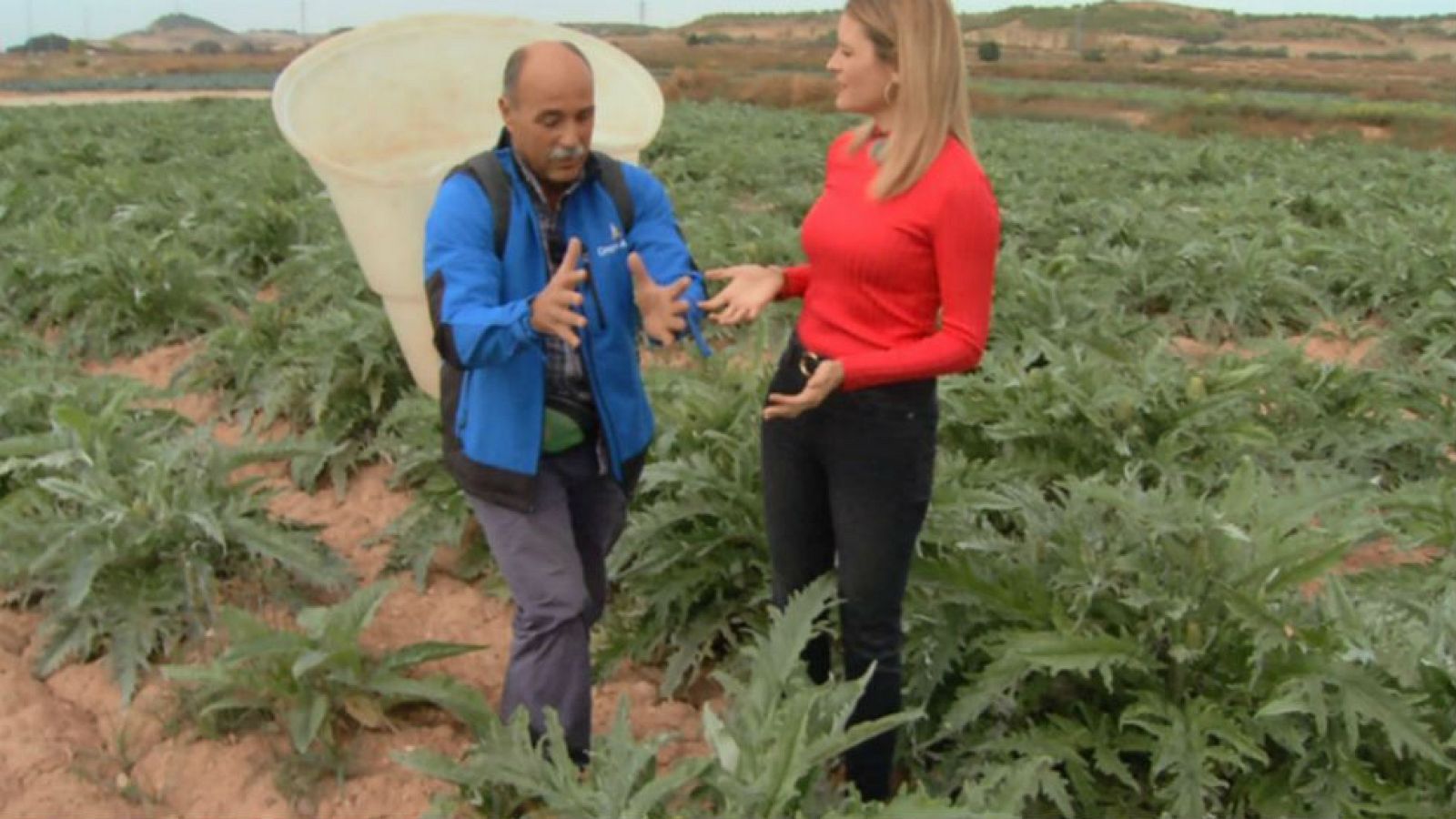 Alcachofa, flor de otoño
