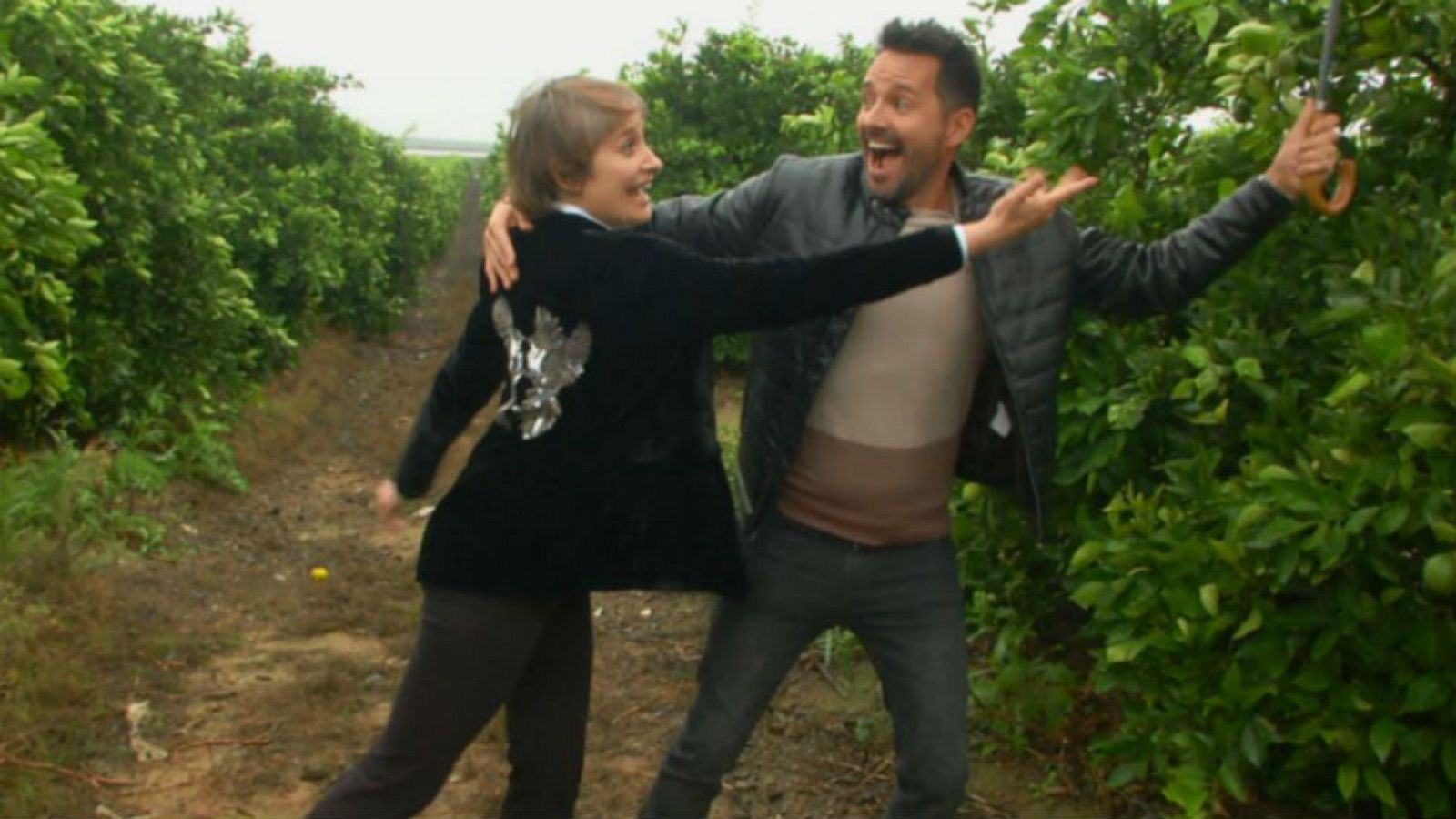 Assumpta Serna, Terrícola de Honor