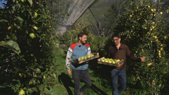 Aquí la Tierra - Las manzanas de Anciles