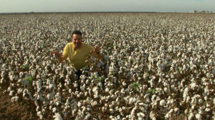 Aquí la Tierra - Entre algodones