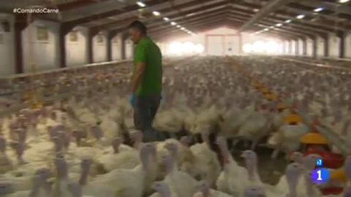 Comando Actualidad - Los reyes de la carne - Más pavo que pollo