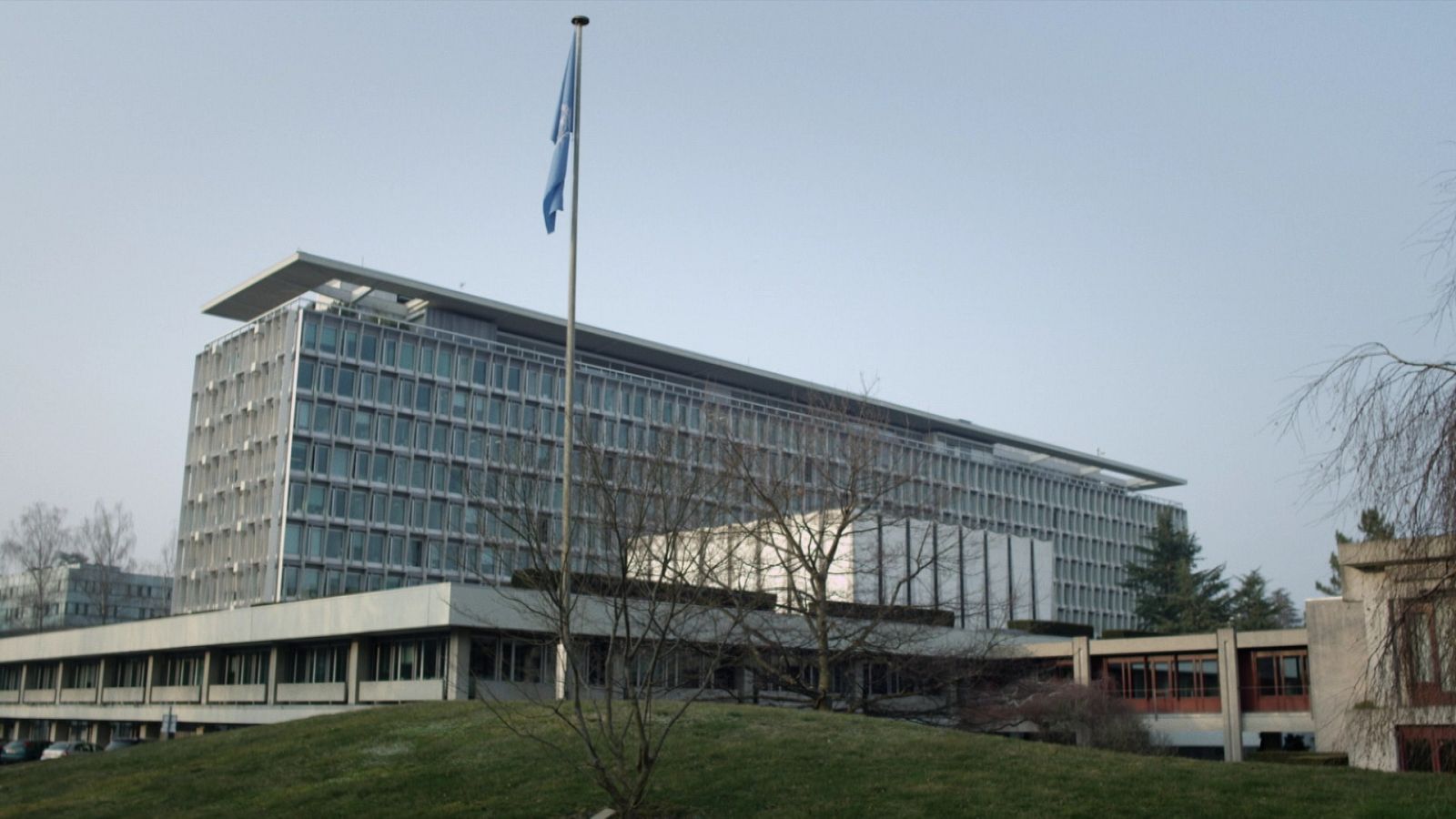 Documentos TV - OMS, ¿En quién confiar? - avance