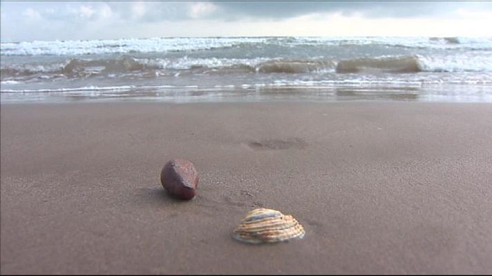 L'informatiu - Comunitat Valenciana - La Comunidad Valenciana en 2' - 14/11/18