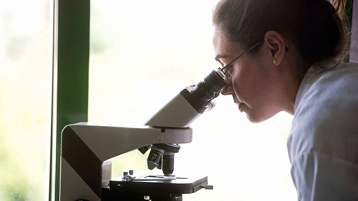 Telediario 1 - 'Plan de retorno a España': recuperar el talento emigrado