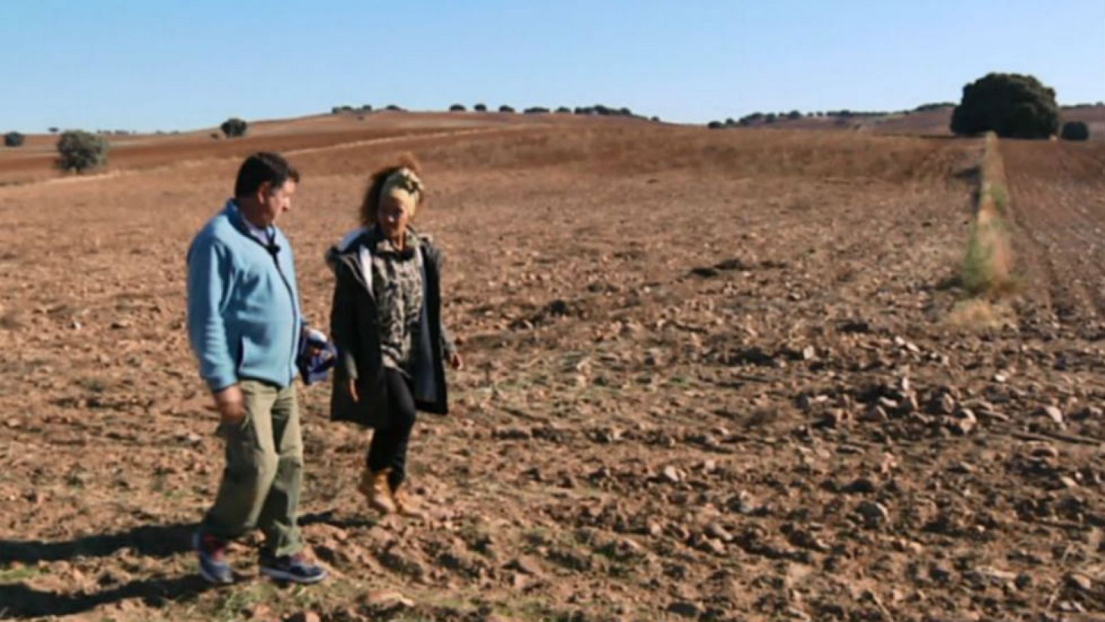 Una gran siembra de Madrid