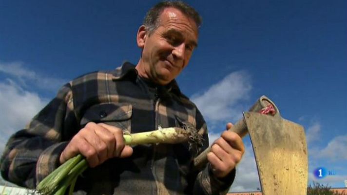 Aquí la Tierra - El calçot necesita doble temporada