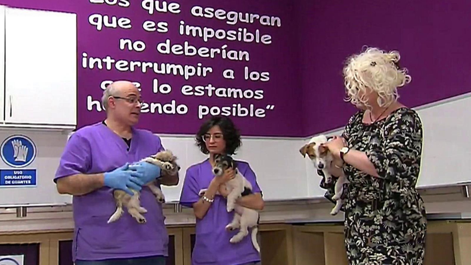 España Directo - 14/11/18 - ver ahora