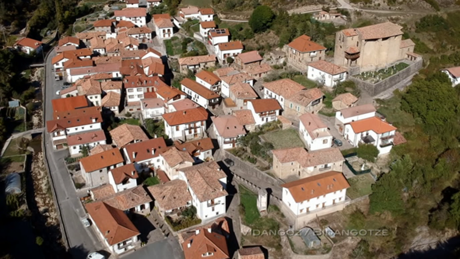 El escarabajo verde - Sedentarios - ver ahora