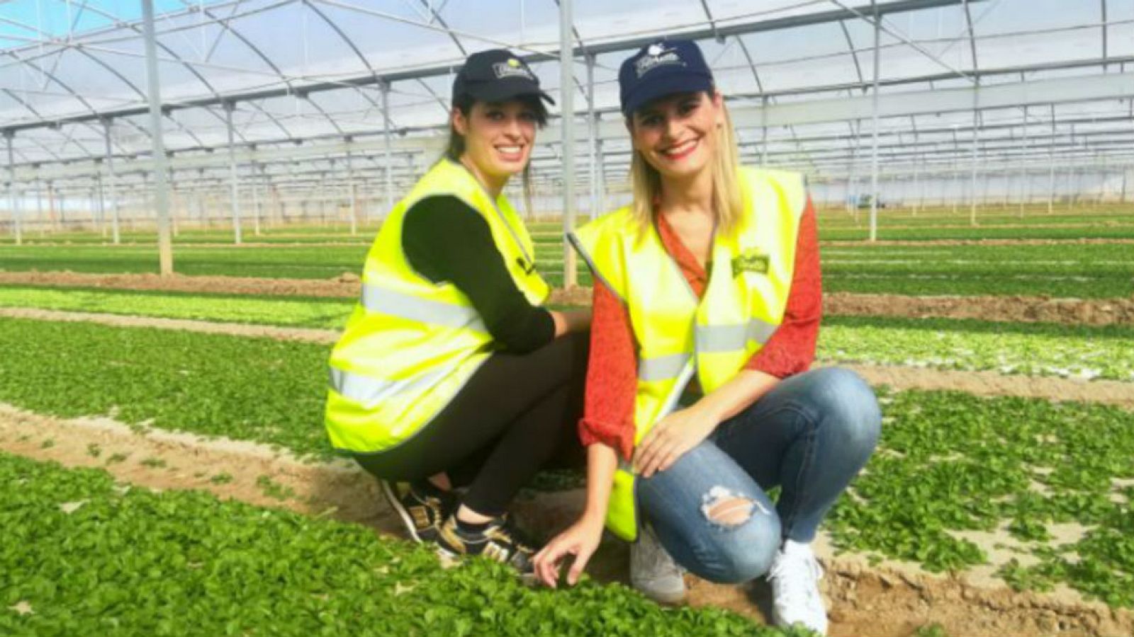 Brotes: chiquitos pero matones