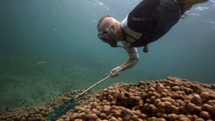 Otros documentales - Pesca Imposible 2: Mozambique