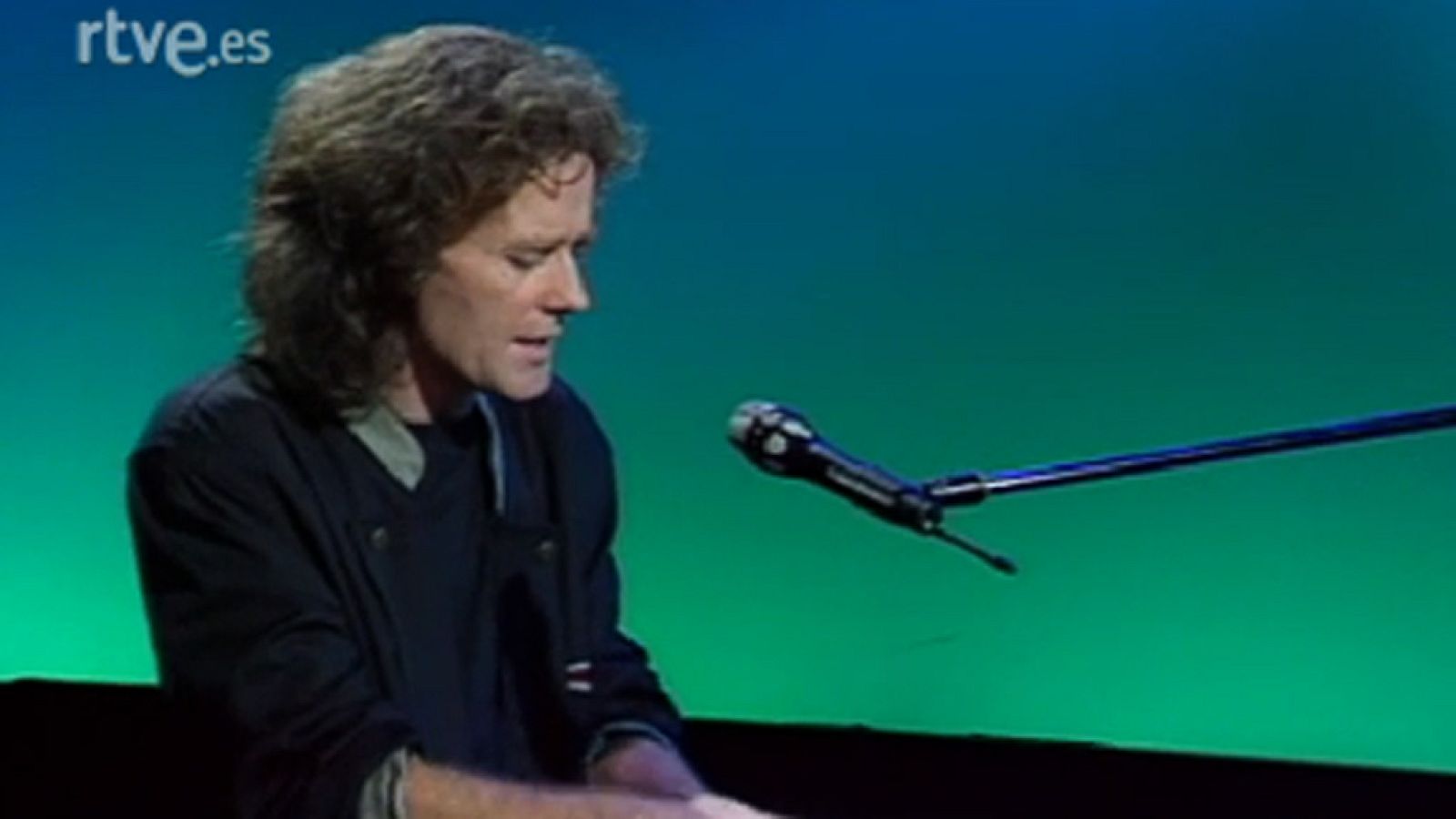 La palmera - Especial Nochebuena