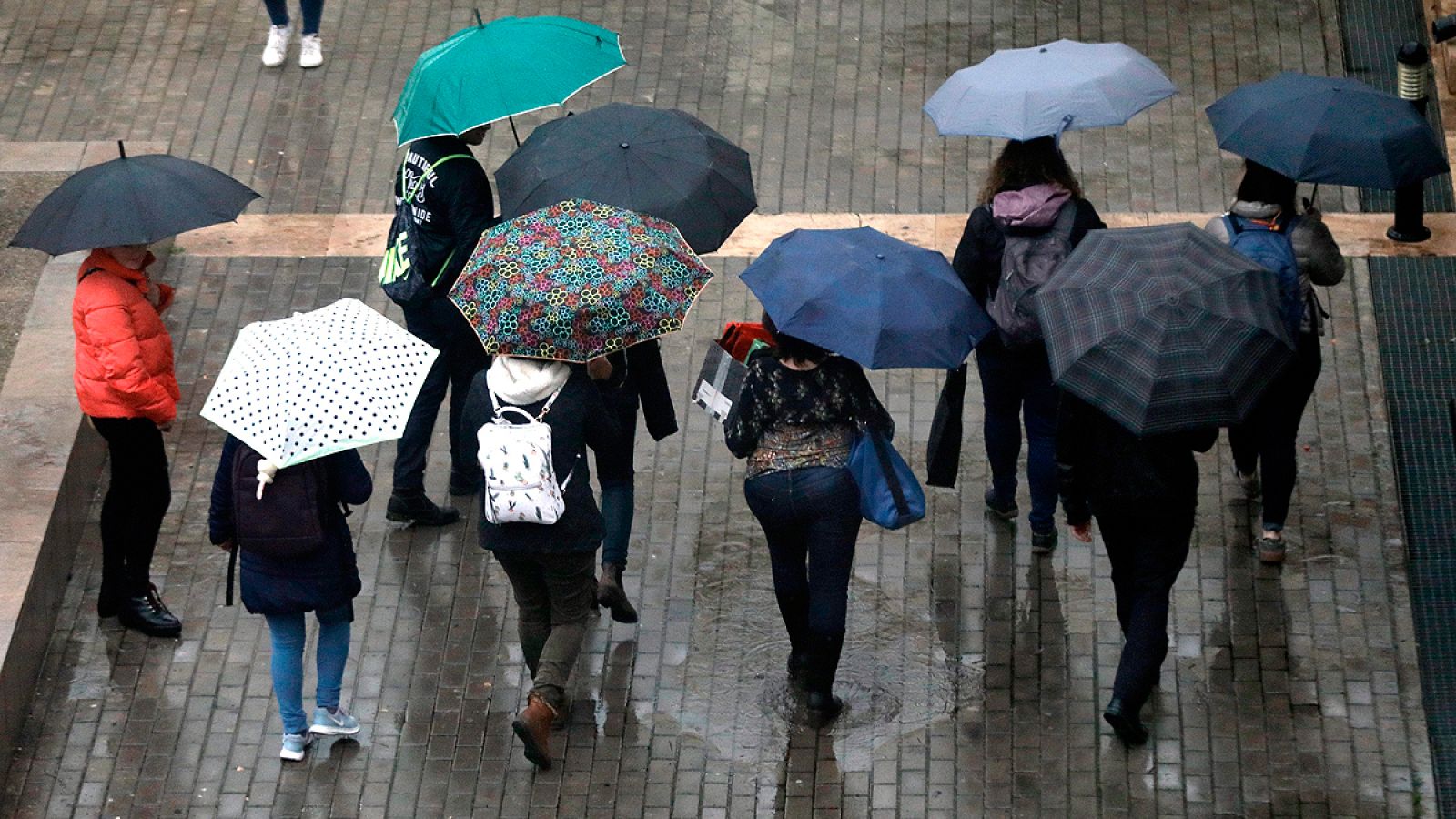 (Sin título) - Informativo 24h | Ver