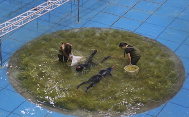 Lab24 - Ingeniería marítima y Ciencia en la radio - Avance