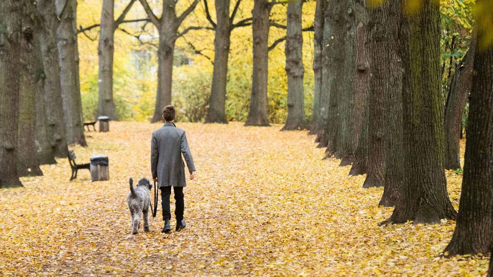 El Tiempo en la Comunidad de Madrid - 19/11/18 - ver ahora
