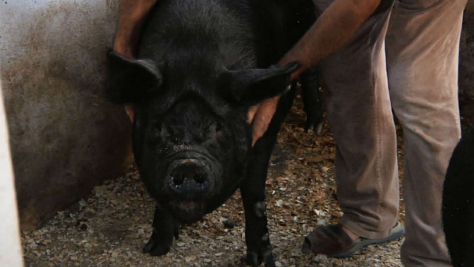 Una finca muy murciana