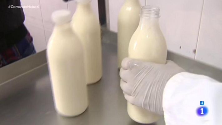 Comando Actualidad - 100% natural - Leche sin esterilizar y sin tratar