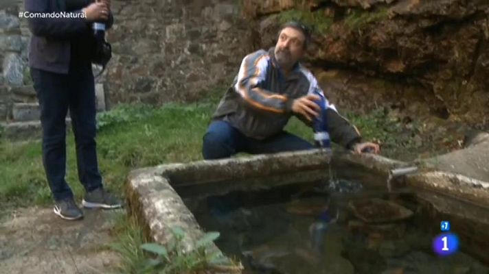 Comando Actualidad - 100% natural - Agua cruda