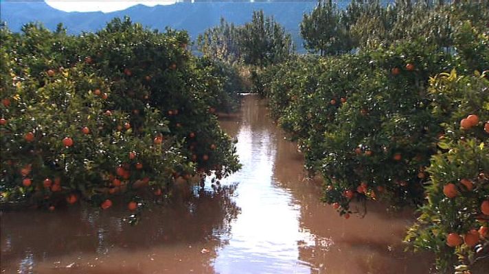 L'informatiu - Comunitat Valenciana - L'Informatiu - Comunitat Valenciana 2 - 20/11/18