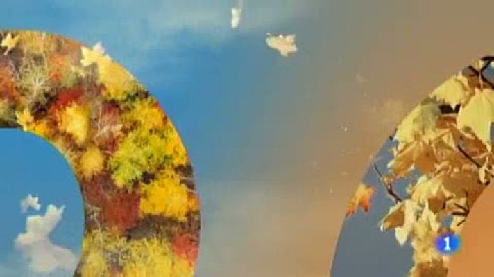 Telenorte - País Vasco - El tiempo en el País Vasco - 20/11/18