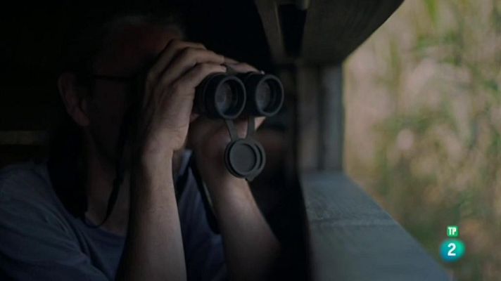 Página Dos - Página Dos - El Reportaje - Ensayos sobre naturaleza