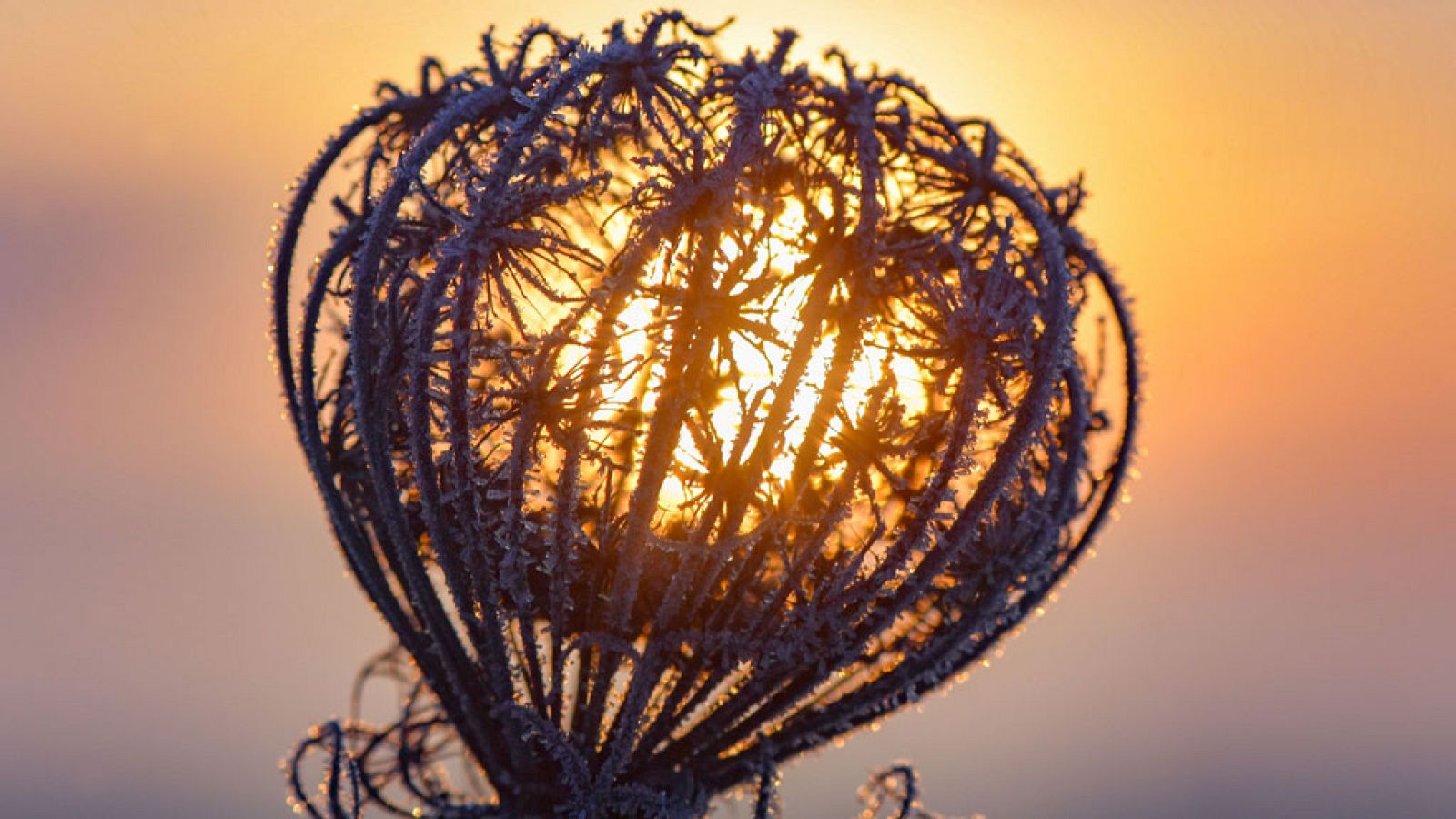 El Tiempo en la Comunidad de Madrid - 21/11/18 - ver ahora