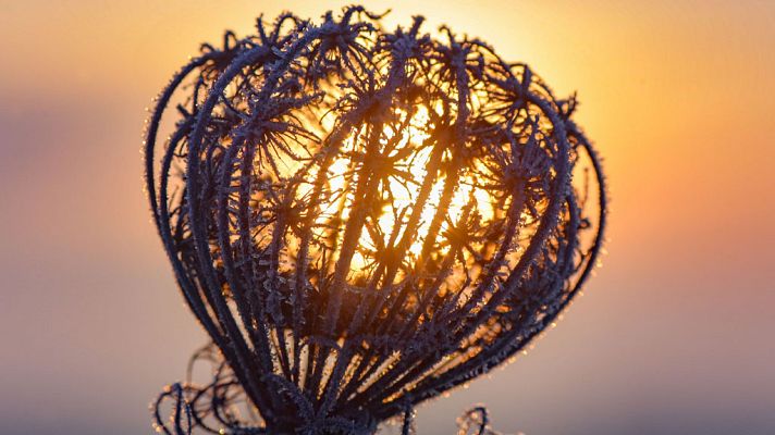 Informativo de Madrid - El Tiempo en la Comunidad de Madrid - 21/11/18