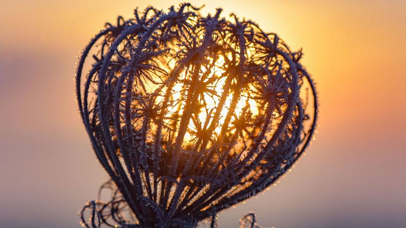 El Tiempo en la Comunidad de Madrid - 21/11/18 - ver ahora