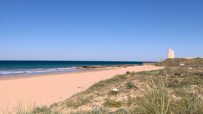  - Un inmigrante superviviente rescatado en la playa del Palmar y nueve fallecidos en una lancha neumatica en Cádiz