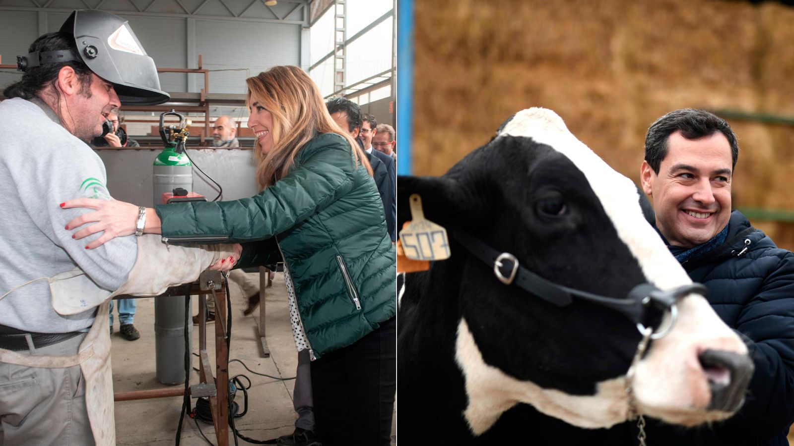 Elecciones andaluzas: Pidiendo el voto entre constructores, ganaderos y campanas