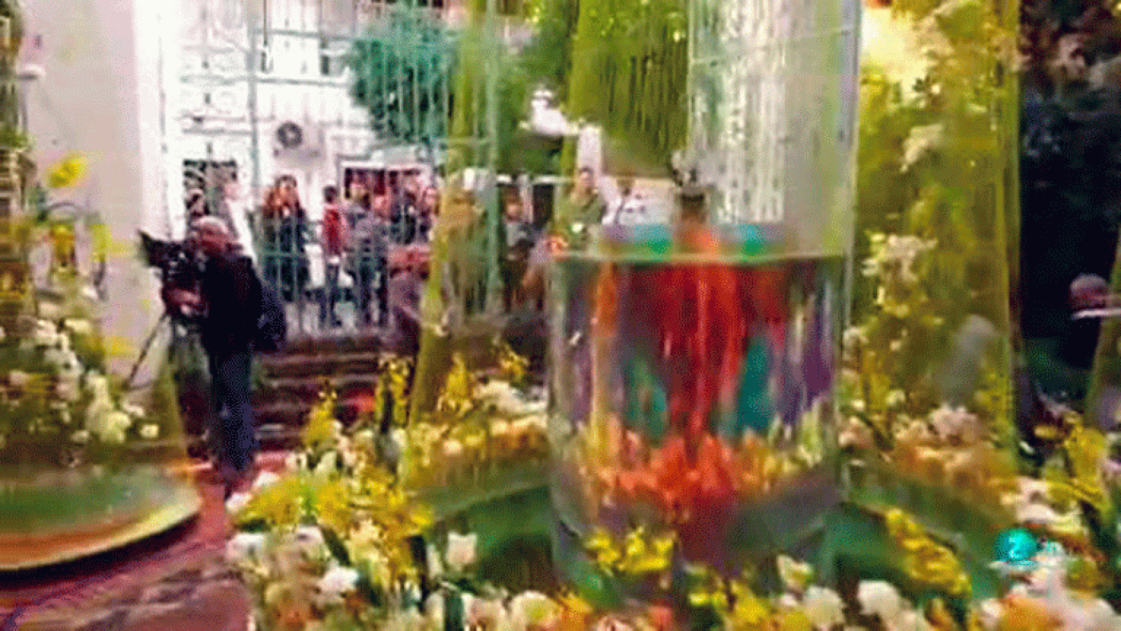 La aventura del saber FLORA Córdoba arte floral Festival Internacional de Las Flores #AventuraSaberSociedad