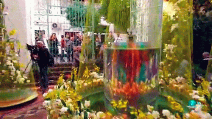La aventura del Saber - FLORA, Festival internacional de las flores