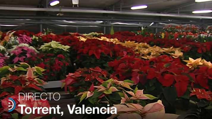 España Directo - España Directo - 22/11/18