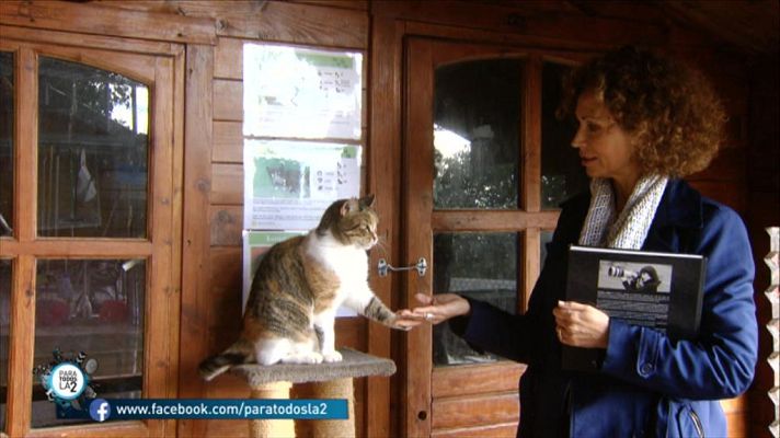 Para todos La 2 - Los derechos de los animales