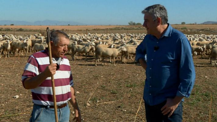 Aquí la Tierra - ¡Toca contar ovejas!