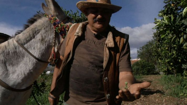 Aquí la Tierra - Juanito y la mantis religiosa