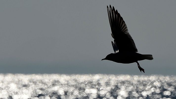 El tiempo - Rachas de viento fuertes en litorales de Galicia y en la Cordillera Cantábrica
