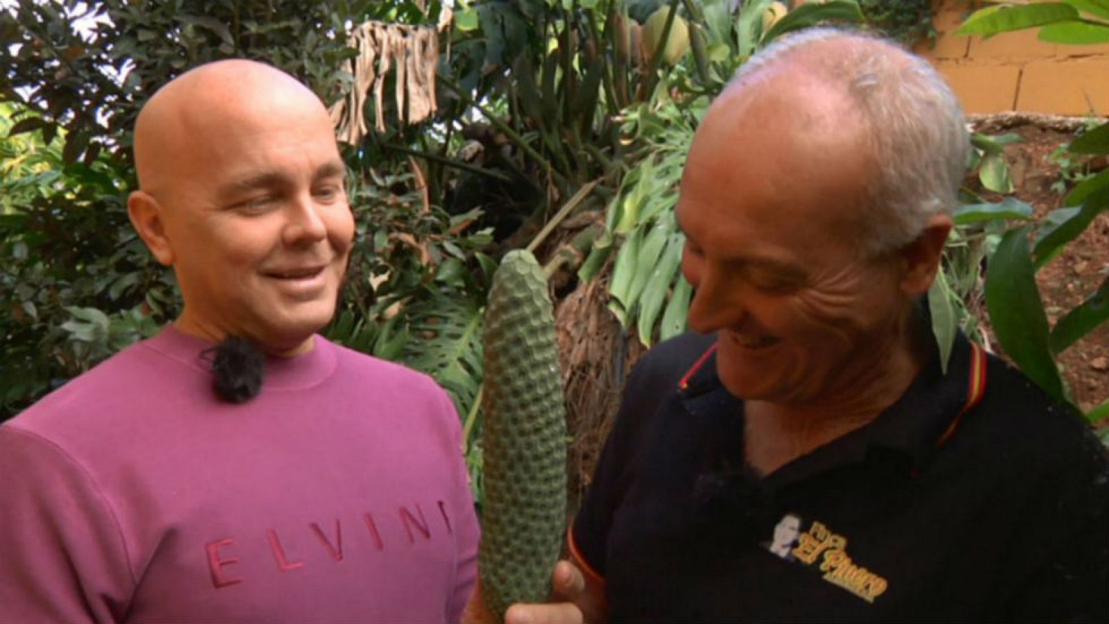 Filodendro, carambola y otras frutas para alucinar