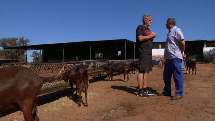 Aquí la Tierra - Iturriaga, cabrero por un día