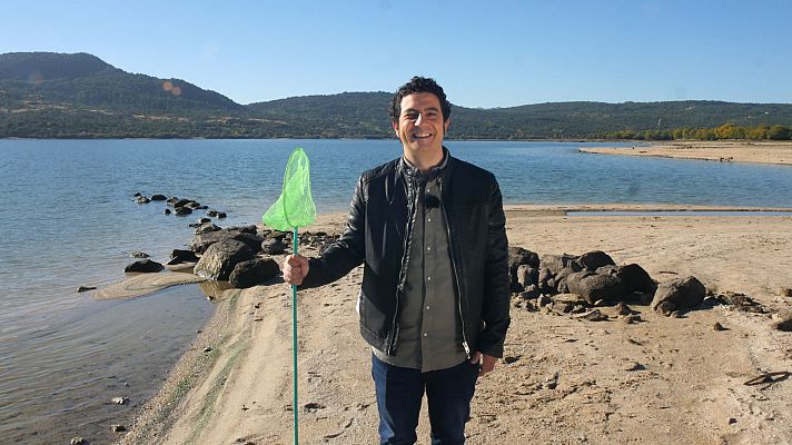 Alacarters - Alacarters - Jara y sedal