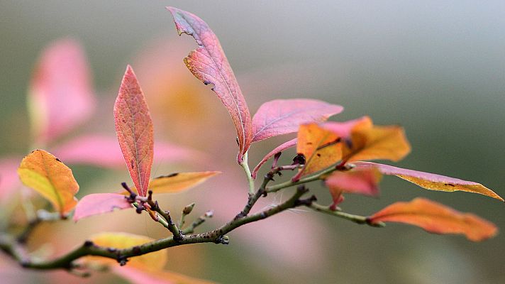 Informativo de Madrid - El Tiempo en la Comunidad de Madrid - 26/11/18