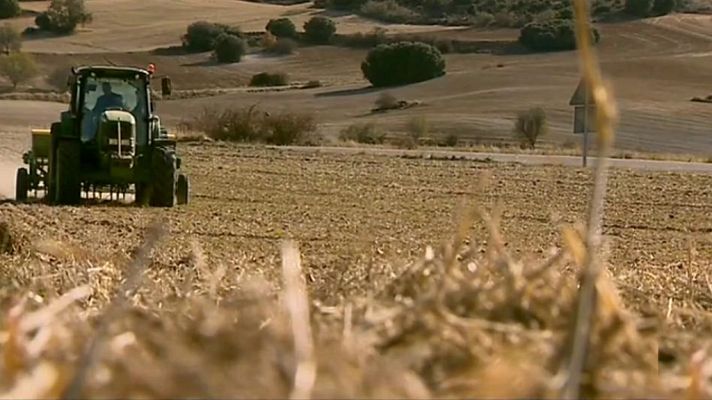 La tarde en 24h - La tarde en 24 horas - Economía - 26/11/18