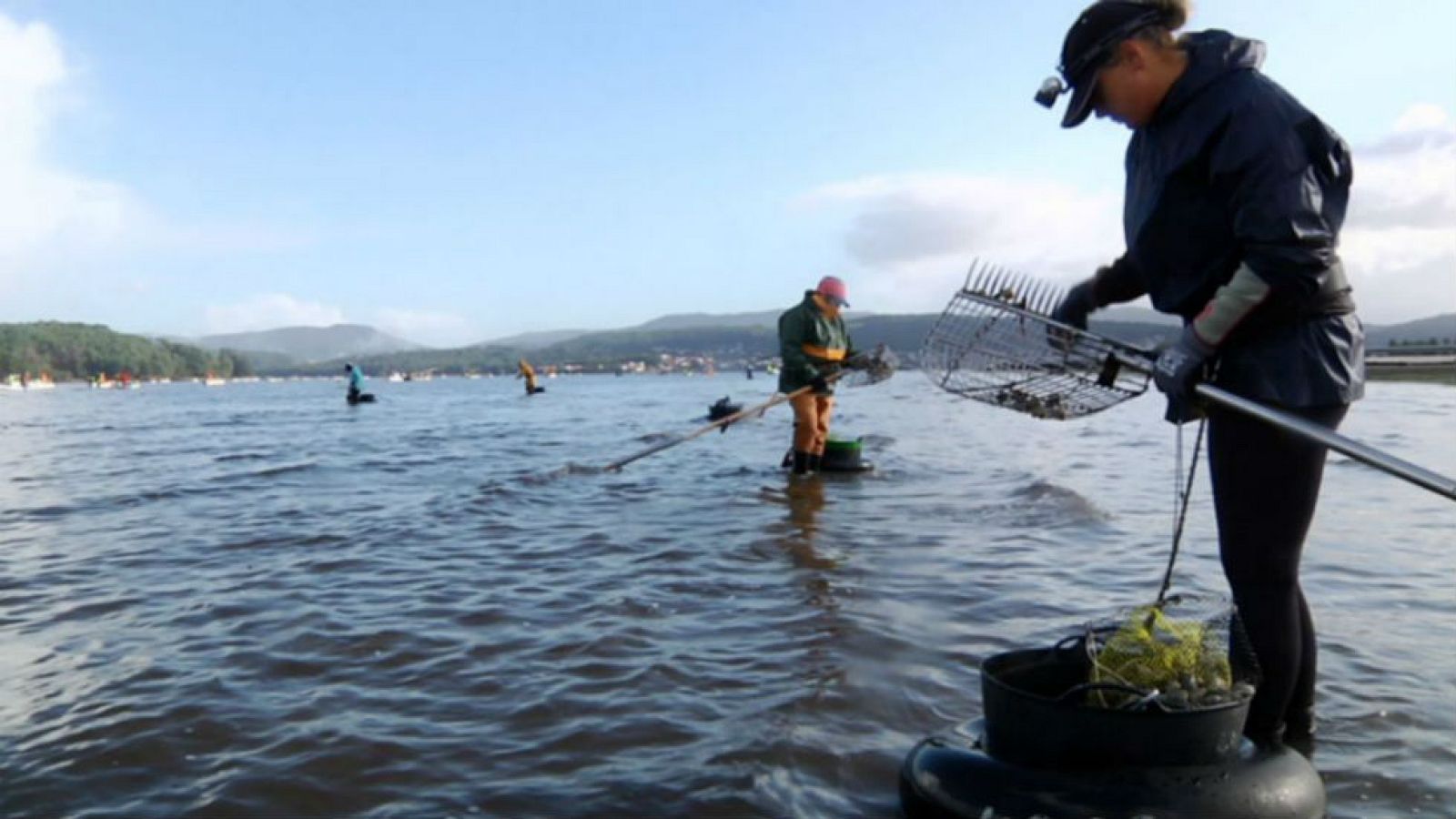En esta ría hay mucha vida